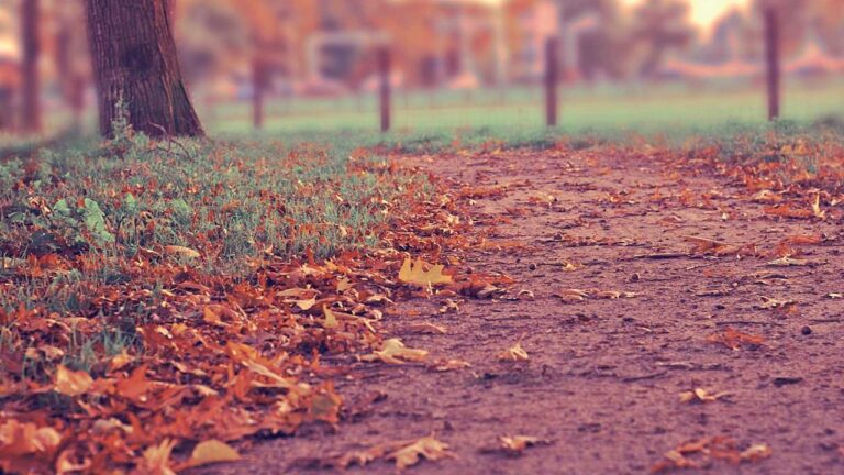 What Is The Latest 99Exch New Offer For Registered Players?