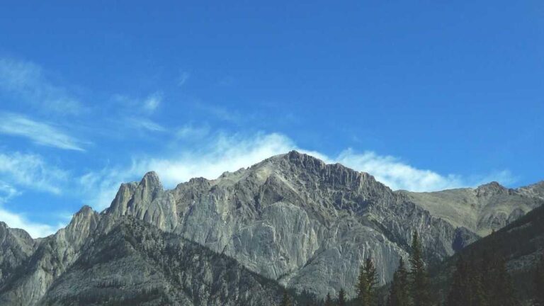 What Is The Current 11Xplay App Size For Android Phones?